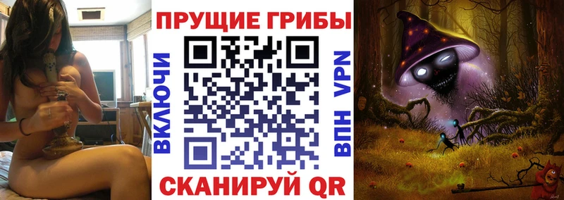 Псилоцибиновые грибы Cubensis  Красноперекопск 